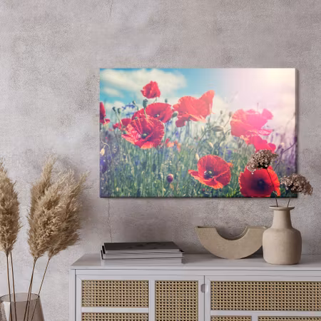 Canvastavla - Poppies in the sun