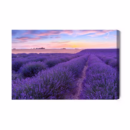 Canvastavla - Lavender field