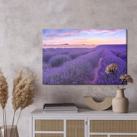 Canvastavla - Lavender field