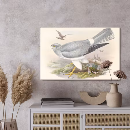 Canvastavla - Birds of prey