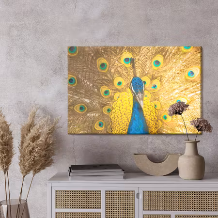 Canvastavla - Beautiful colorful peacock