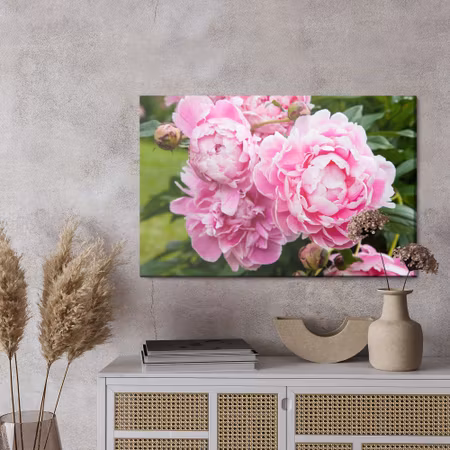 Canvastavla - Peony flowers