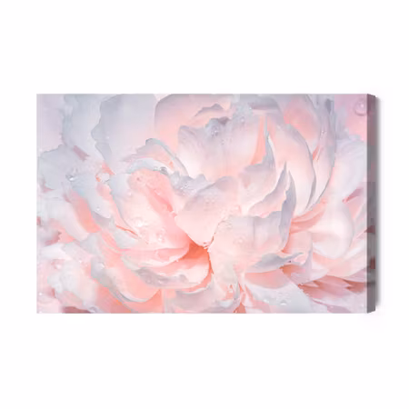 Canvastavla - Peonies in drops of water