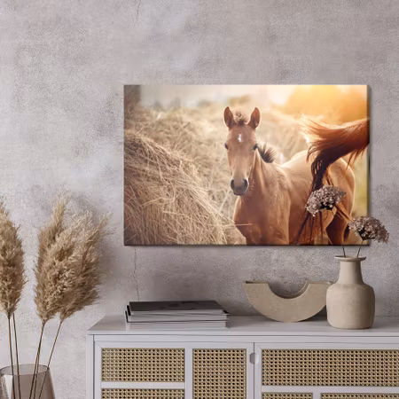Canvastavla - A foal on a background of hay bales