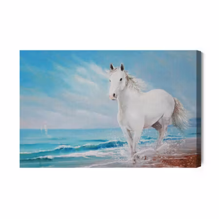 Canvastavla - White horse on the seashore