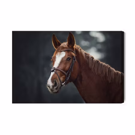 Canvastavla - Horse on the background of the forest