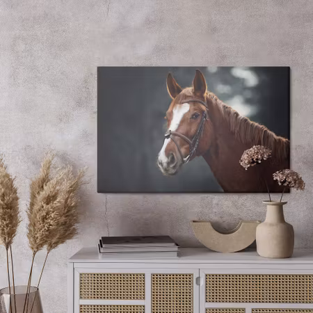 Canvastavla - Horse on the background of the forest