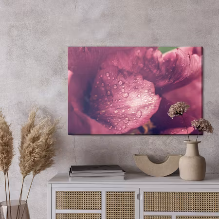 Canvastavla - Peony roses with dew