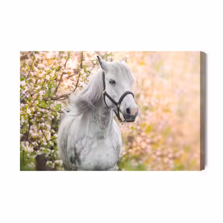 Canvastavla - Horse on a background of flowers