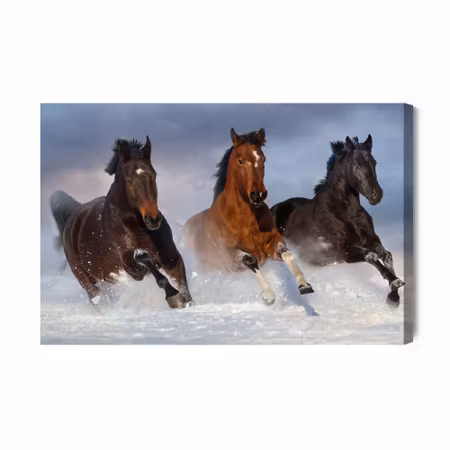 Canvastavla - Galloping horses in winter