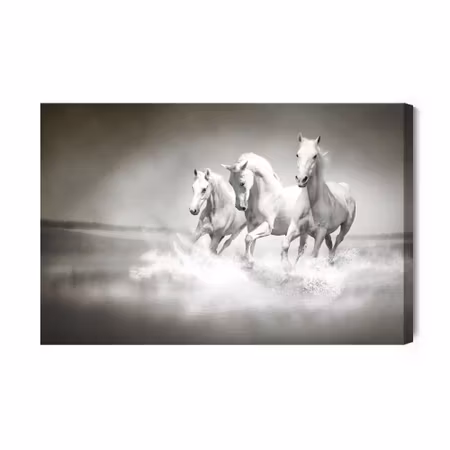 Canvastavla - Horses in black and white