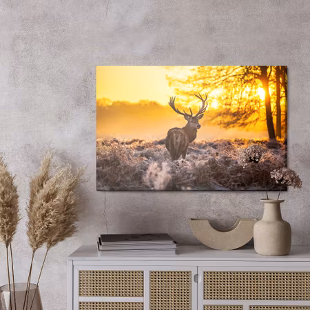 Canvastavla - Deer in the morning sun