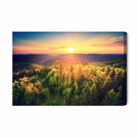 Canvastavla - Sunset over forest hills
