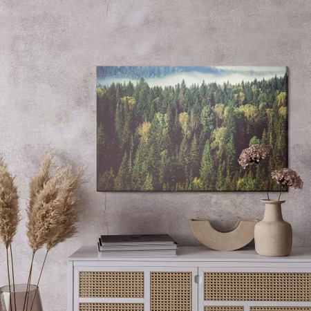 Canvastavla - Forest with fog in the background