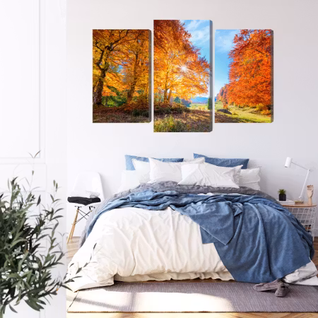 Canvastavla - Colourful autumn trees