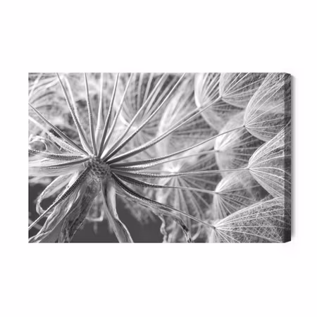 Canvastavla - Dandelion close up