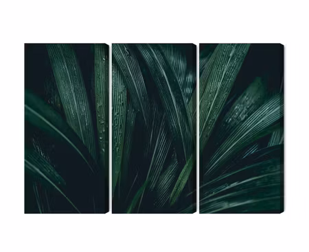 Canvastavla - Dark green leaves on a macro scale