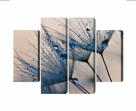 Canvastavla - Dandelions with water droplets on a