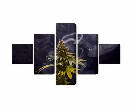 Canvastavla - Cannabis plant on a smoky background