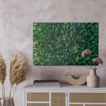 Canvastavla - Trees in the carpathians