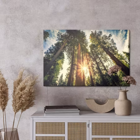 Canvastavla - Sunrise forest