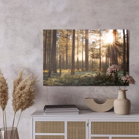 Canvastavla - Sunrise in the coniferous forest