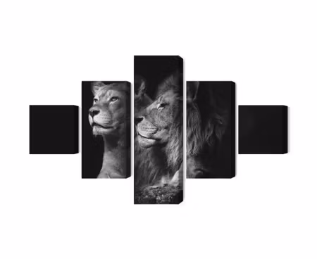 Canvastavla - Lion and lioness on a black background