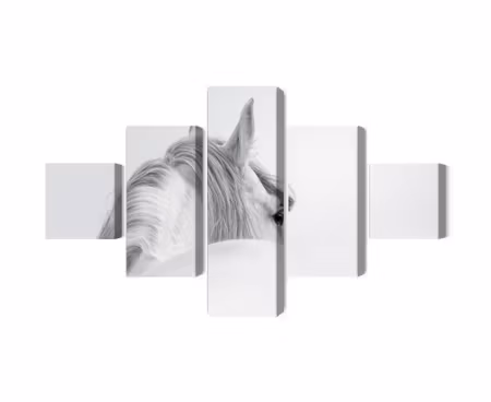 Canvastavla - Andalusian horse in the fog