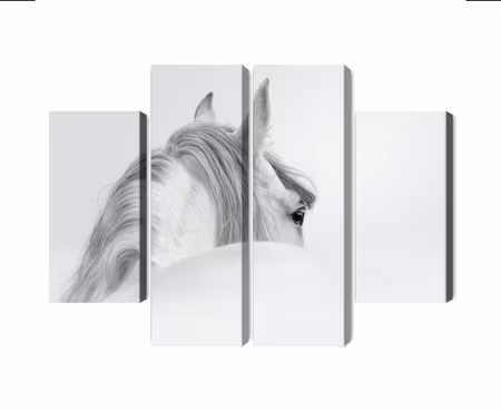 Canvastavla - Andalusian horse in the fog