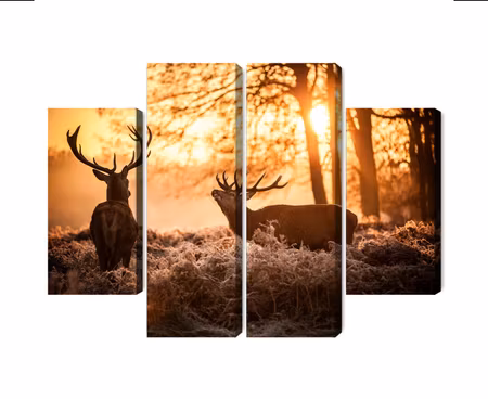Canvastavla - Two deer in the forest at sunset 3d