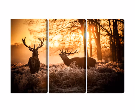 Canvastavla - Two deer in the forest at sunset 3d