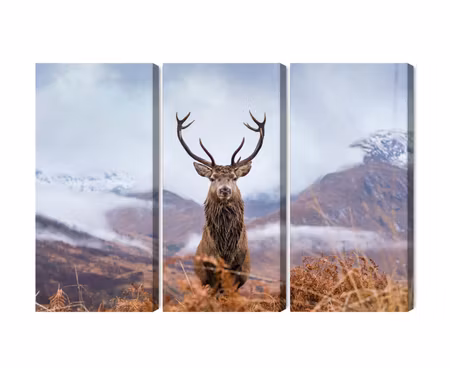Canvastavla - A deer on a background of a 3d mountain