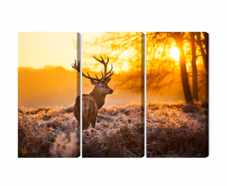 Canvastavla - Deer in the forest at sunset 3d