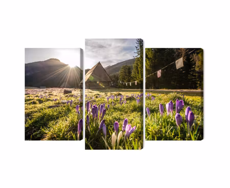 Canvastavla - Chocho?owska valley in the tatras 3d