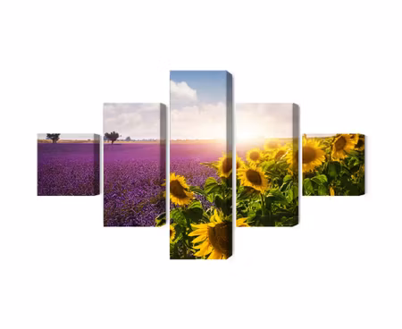 Canvastavla - Lavender and sunflower fields 3d