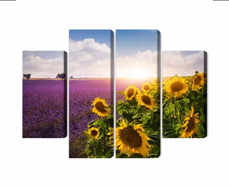 Canvastavla - Lavender and sunflower fields 3d