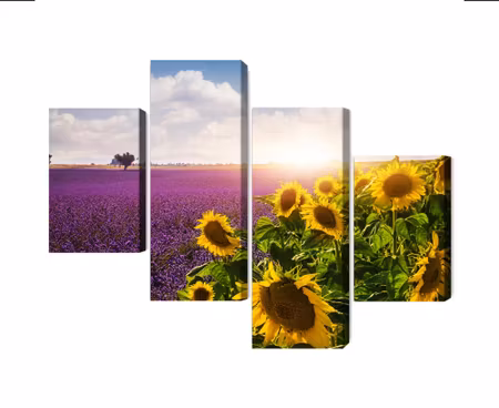 Canvastavla - Lavender and sunflower fields 3d