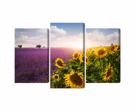 Canvastavla - Lavender and sunflower fields 3d