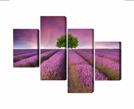 Canvastavla - A tree in the middle of a 3d lavender