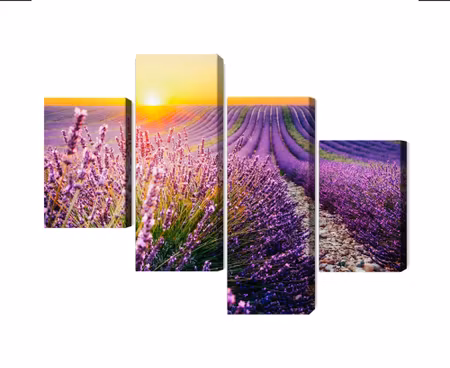 Canvastavla - Lavender field at sunset 3d