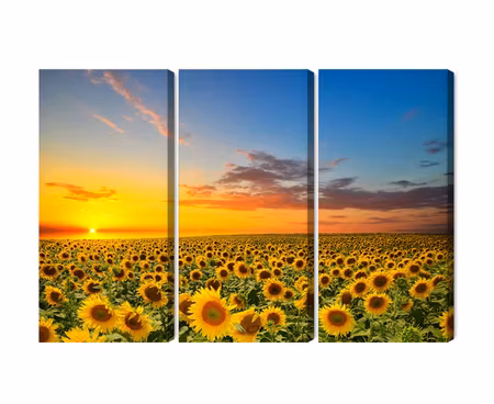Canvastavla - Sunset over a 3d sunflower field
