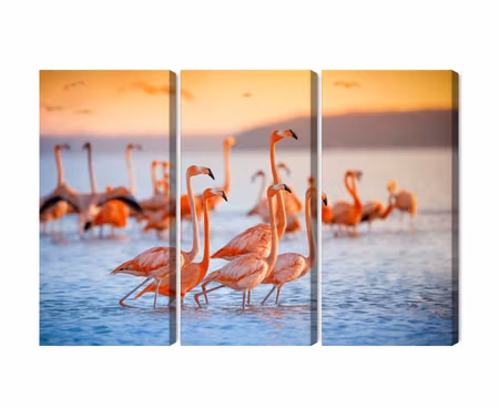 Canvastavla - A flock of flamingos by the water