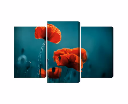 Canvastavla - Macro poppies