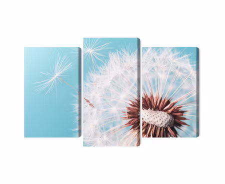 Canvastavla - Dandelion flower on a macro scale