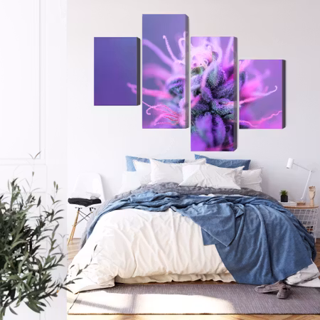 Canvastavla - Macro plant on a pink-purple background