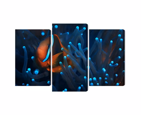 Canvastavla - Clownfish in a 3d anemone