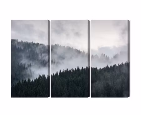 Canvastavla - Misty 3d forest landscape