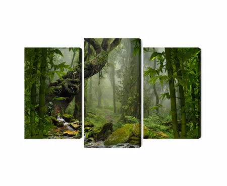 Canvastavla - The green of the rain forest