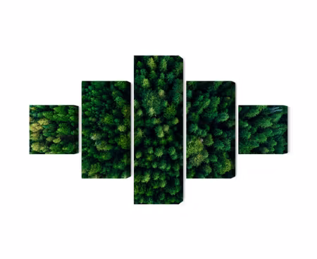 Canvastavla - Aerial view of the green forest