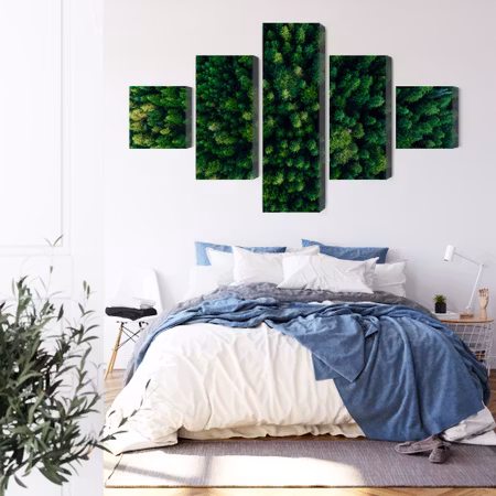 Canvastavla - Aerial view of the green forest